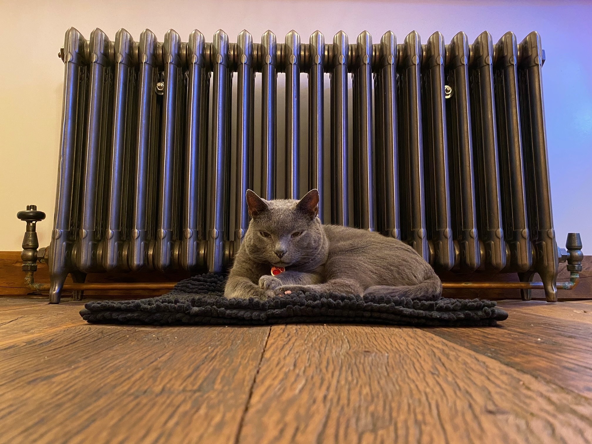 Carron Deco Column Cast Iron Radiator