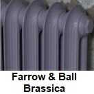 Radiator finishes in Farrow and Ball Brassica