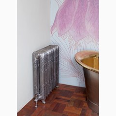 Sleeping Swan Style Cast Iron Radiator 