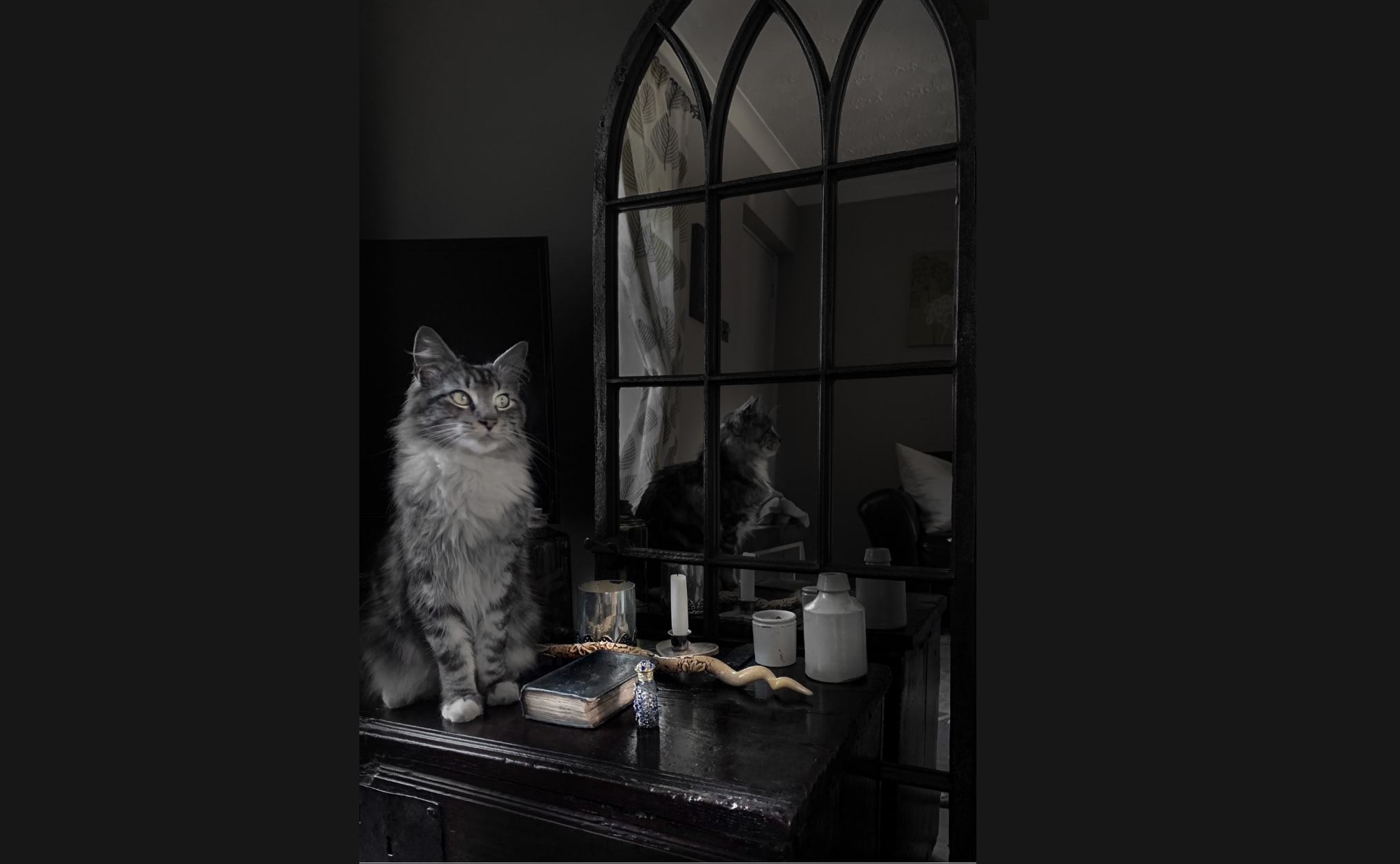 Photo Competion Winner Halloween 2020, featuring Antique Cast Iron Window Converted To a Mirror 