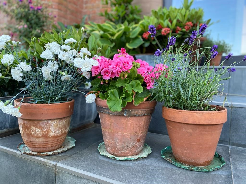 Solid Copper Plant Pot Saucers and Planters Available to Buy Online at UKAA. Worldwide Delivery Available