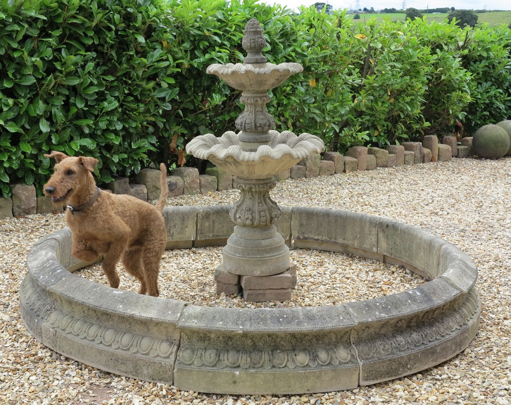 Rolo our UKAA Irish Terrier with a reclaimed Haddonstone Garden Fountain and Water Feature